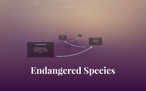 Endangered Species by on Prezi