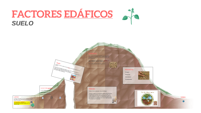 Resultado de imagen de factores edaficos