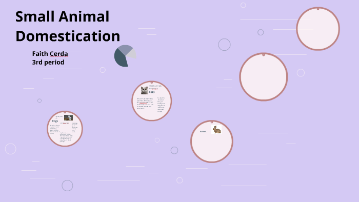 Small Animal Domestication by faith cerda on Prezi