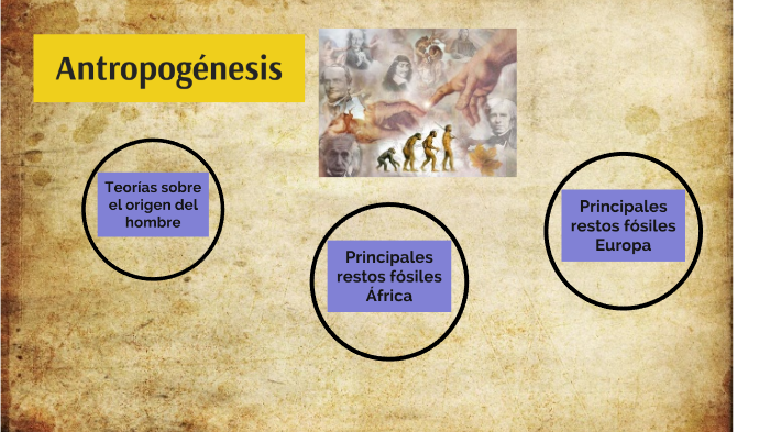 Antropogénesis by Leiner Cardenas on Prezi