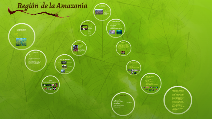 Region de la Amazonia by Paula Useche on Prezi