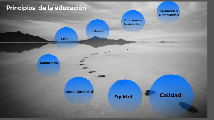Principios de la educación by Sherafty Mejía on Prezi