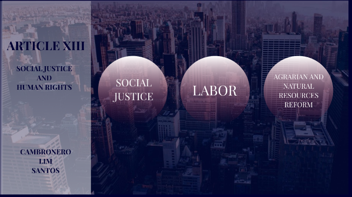 ARTICLE XIII - SOCIAL JUSTICE AND HUMAN RIGHTS by Shayrie Wynne ...
