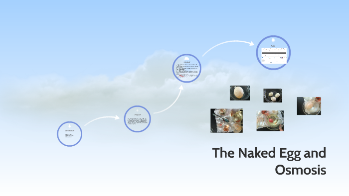 The Naked Egg And Osmosis By Joshua Terhune On Prezi