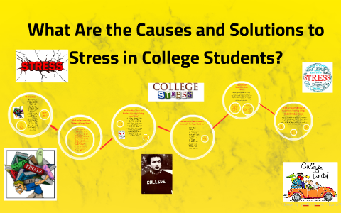 causes of stress in college students essay