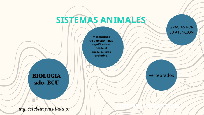 SISTEMAS ANIMALES by Esteban Encalada on Prezi