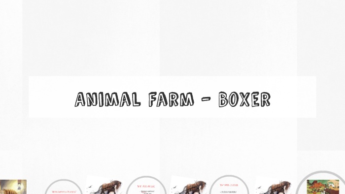 what is boxers role in animal farm