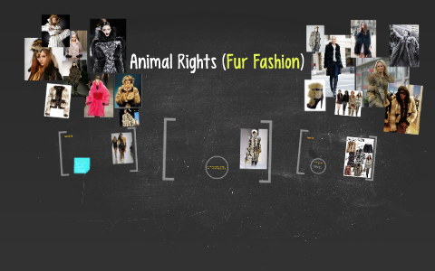 Animal Rights (Fur Fashion) by christopher quarterman on Prezi