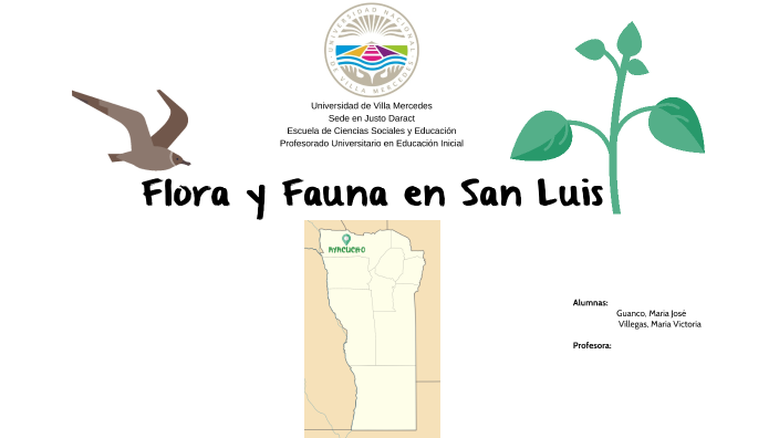 Calameo Cuadro Comparativo De La Flora Y Fauna En San Luis Potosi – eroppa
