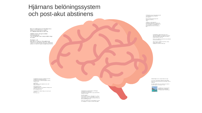 Hjärnans belöningssystem by Frida Forsman on Prezi