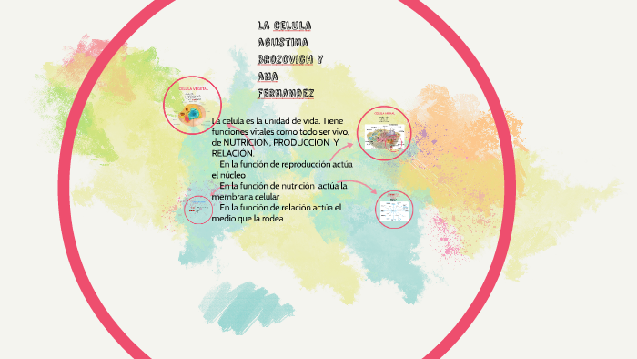 la celula by ana feranandez on Prezi