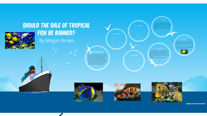 tropical fish classifieds