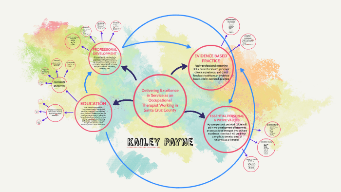 Concept Map Of Development Professional Development Concept Map By