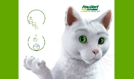 Feu Vert By Vatanak Ky