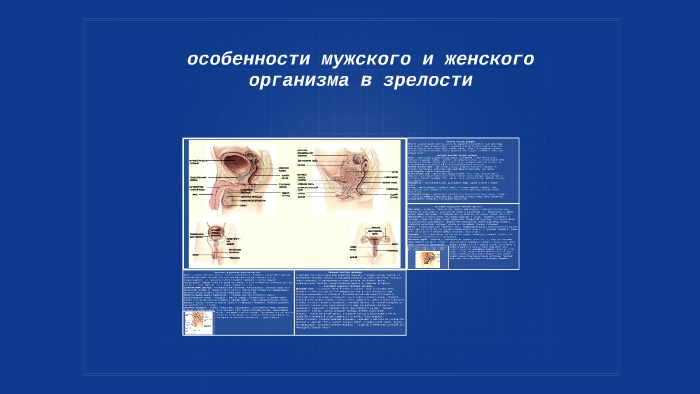 Организм 9 класс. Особенности мужского и женского организма. Особенности мужского организма в зрелости. Особенности женского организма. Особенности мужского и женского организмов в зрелом возрасте.