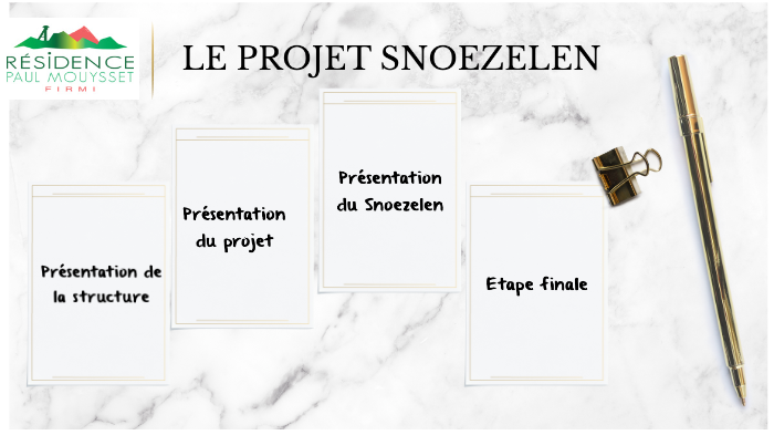 Projet Techno Bac By Leeloo Plumecoq On Prezi Next