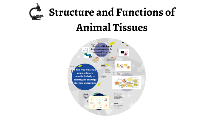Structure and Functions of Animal Tissues and Cell Modification by Rich  Regio