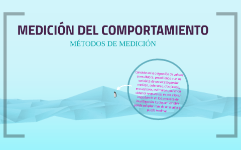 MEDICIÓN DEL COMPORTAMIENTO by viviana buitrago