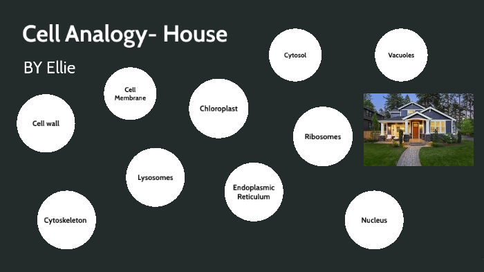Cell Analogy- House by Ellie Nelson on Prezi