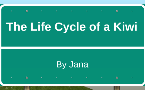 The Life Cycle of a Kiwi by Jana R.