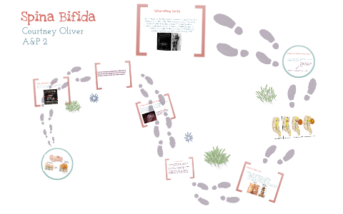 Spina Bifida Powerpoint By Courtney Oliver On Prezi Spina Bifida Powerpoint By Courtney Oliver On Prezi