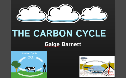 THE CARBON CYCLE by gaige barnett on Prezi