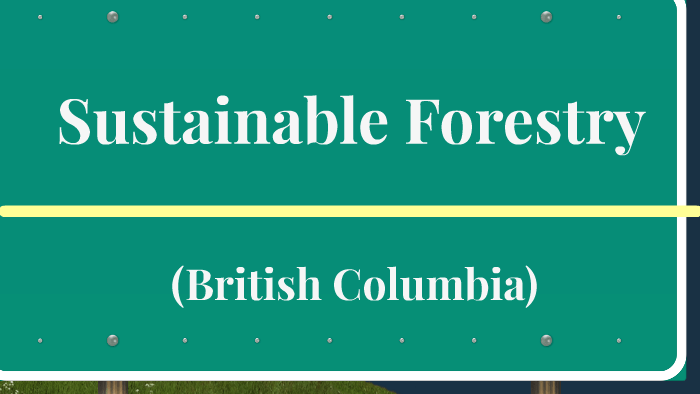 Sustainable Forestry By Victoria Nanson