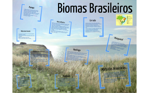Biomas Brasileiros by Veronica Rodrigues on Prezi