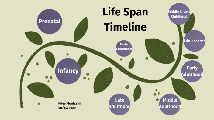 Life Span Timeline by Kiley Montcalm on Prezi