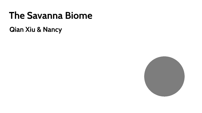 Savanna Biome by QIAN XIU LI on Prezi