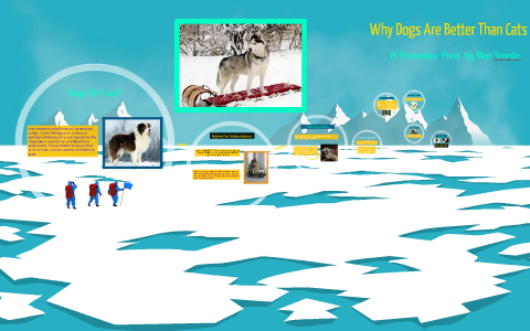 Why Dogs Are Better Than Cats by Max Icardo on Prezi