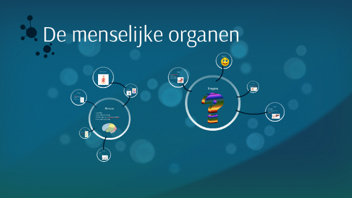 De menselijke organen by Adinda van Delft on Prezi