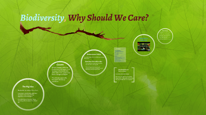 Biodiversity, Why Should We Care? By Tatiana Avedisian On Prezi