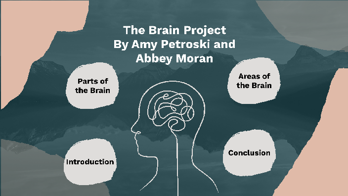 Abbey and Amy Brain Presentation by AMY PETROSKI on Prezi