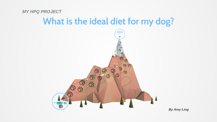 what-is-the-ideal-diet-for-my-dog-by-amy-ling