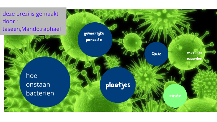 hoe onstaat bacterien? by luxkatana