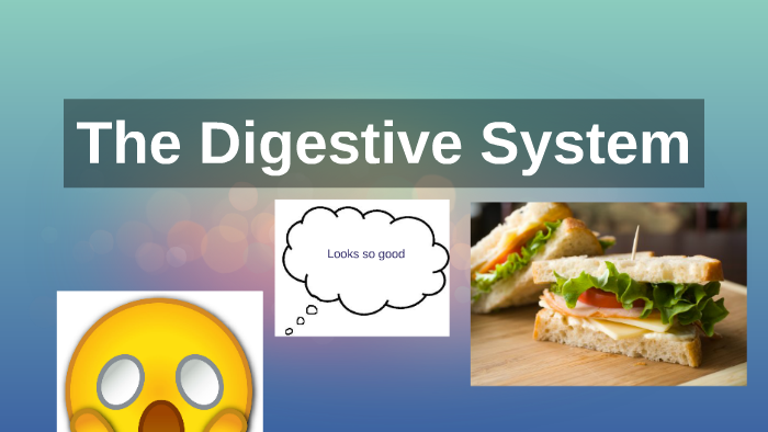 The Digestive System by Hannah Allie on Prezi