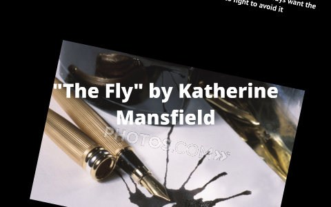 The Fly By E Z On Prezi Next