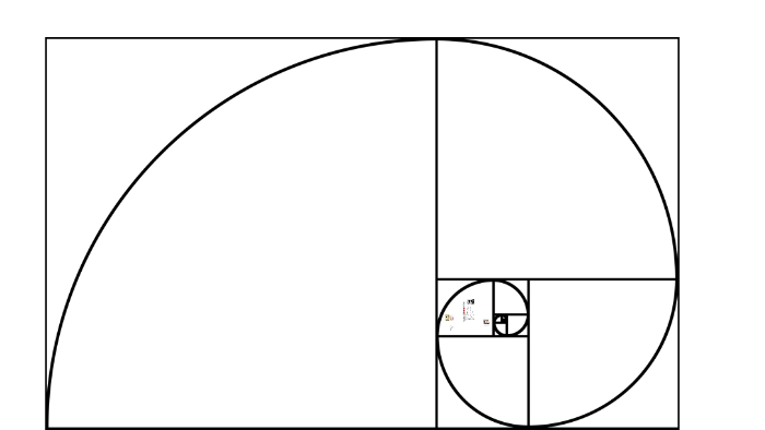 Who is Fibonacci? by Nicholas Ambrosi