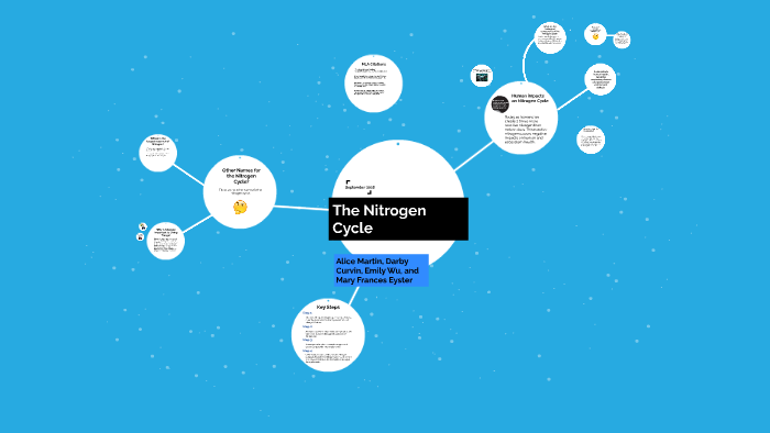 The Nitrogen Cycle by Alice Martin on Prezi