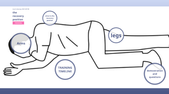 the recovery position by mark delaney the recovery position by mark delaney