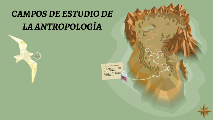 Campos de estudio de la Antropología by Junior Aguirre on Prezi