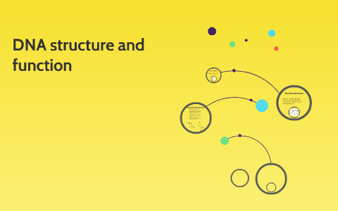 DNA structure and function by Darrin Fernandez on Prezi