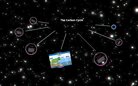 The Carbon Cycle by allison brownell on Prezi