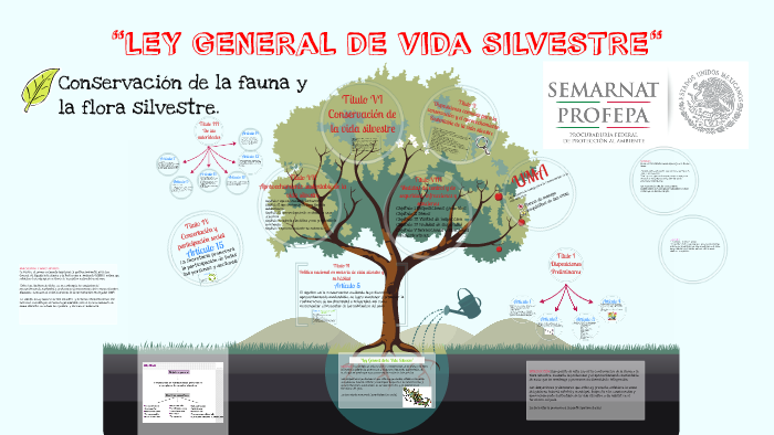 LEY GENERAL DE VIDA SILVESTRE by on Prezi