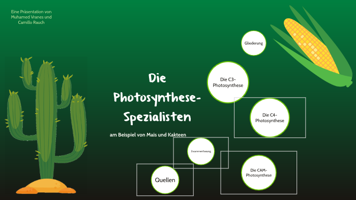 Die Photosynthese-Spezialisten by on Prezi