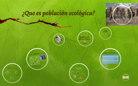 Aburrido rodar Declaración Que es población ecológica? by Hiram Alcantar ortiz on Prezi Next