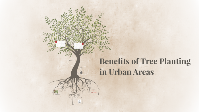 Benefits of Tree Planting in Urban Areas by David Dobek on Prezi