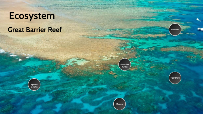 great-barrier-reef-ecosystem-by-hunter-wilton