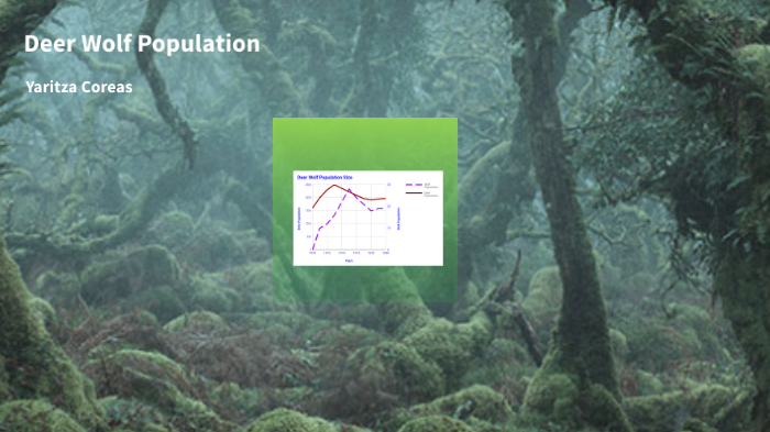 Deer wolf population by Yaritza Coreas on Prezi
